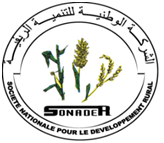 Service d’asistance technique chargé de la création d’un environnement favorable à une intensification agro-écologique … classé 1er Gpt SHER / BCC ; … suite