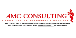 AMC CONSULTING Logo